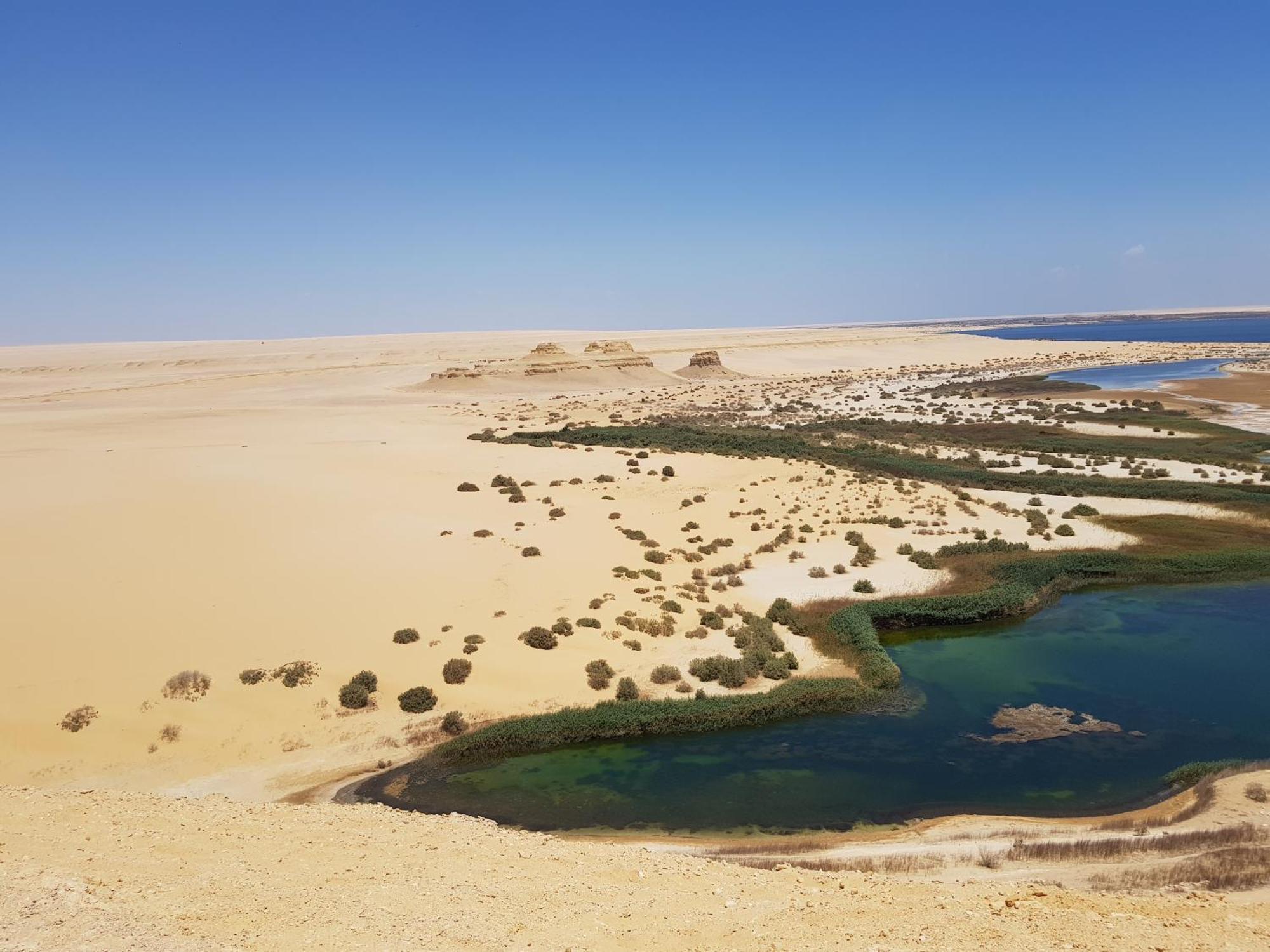 Maged Pyramids View Inn Kafret el-Gabal Esterno foto